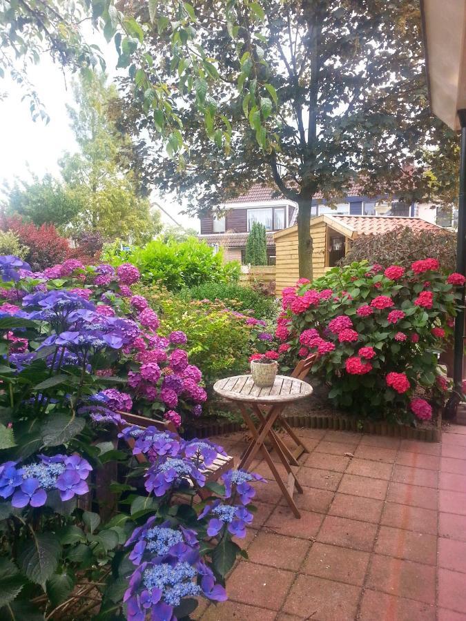 Bed & Breakfast De Vrijheid Еде Екстер'єр фото