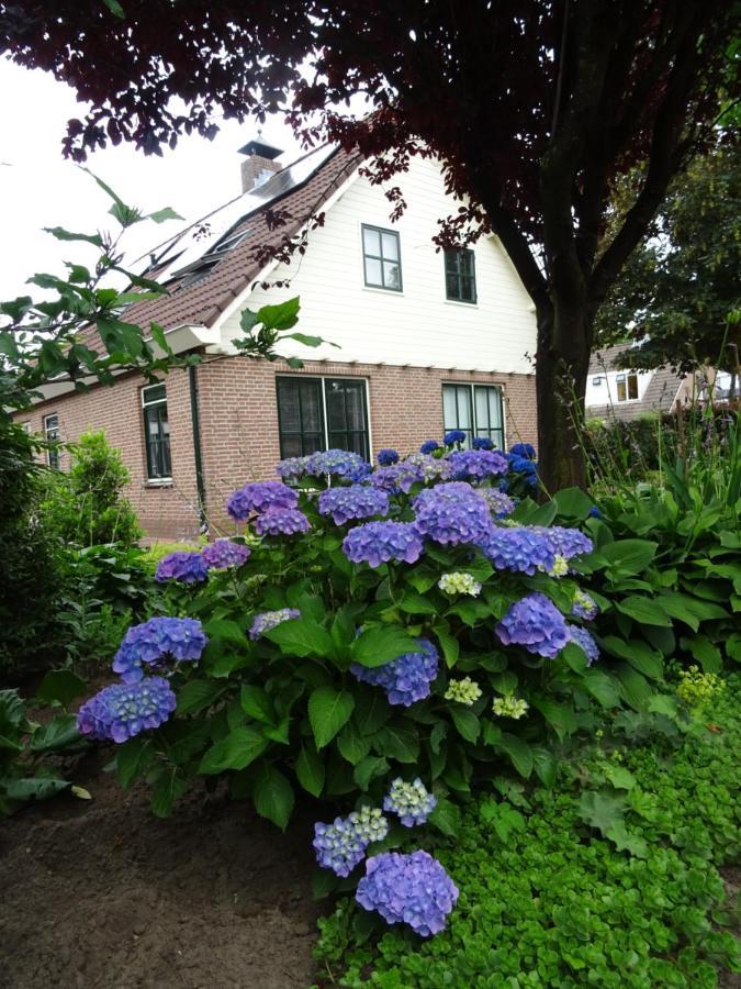 Bed & Breakfast De Vrijheid Еде Екстер'єр фото